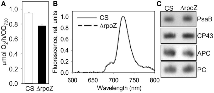 Figure 6.