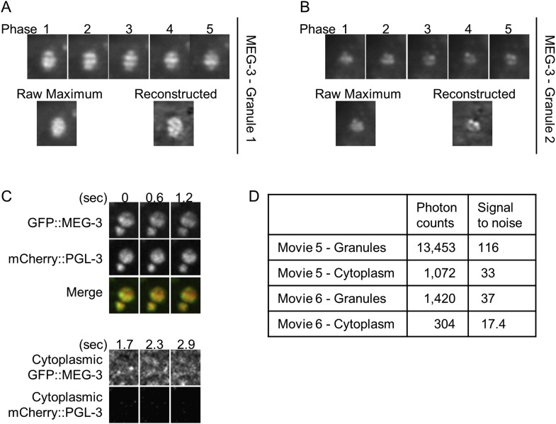 Figure 5—figure supplement 5.