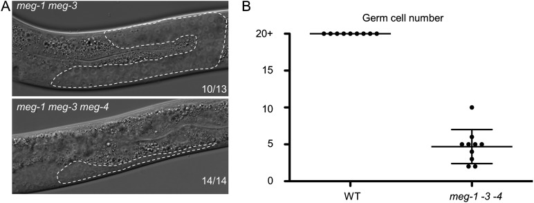 Figure 4—figure supplement 4.