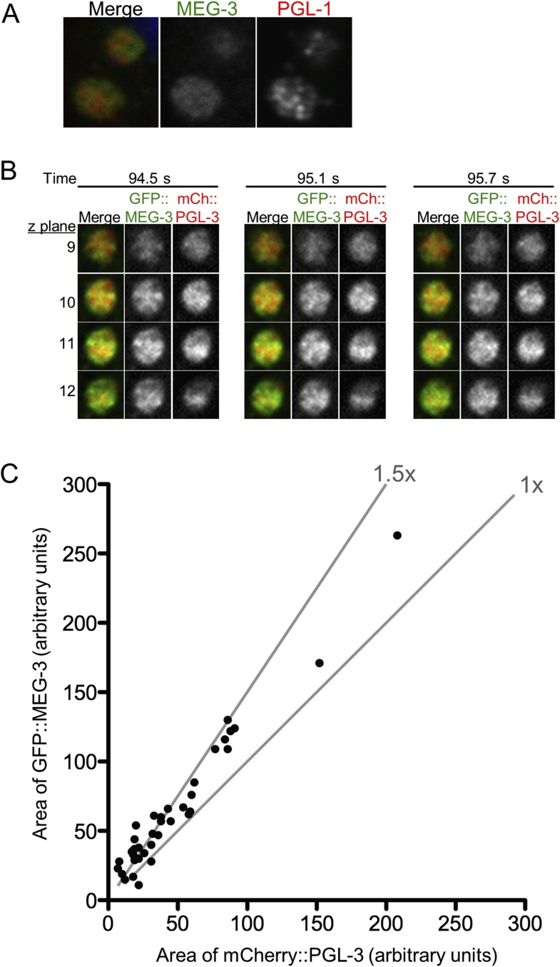 Figure 5—figure supplement 3.