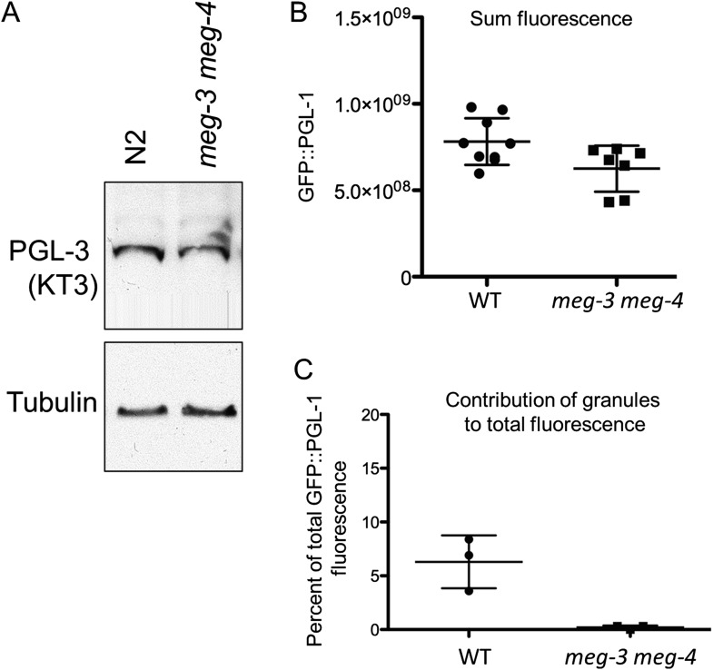 Figure 4—figure supplement 5.