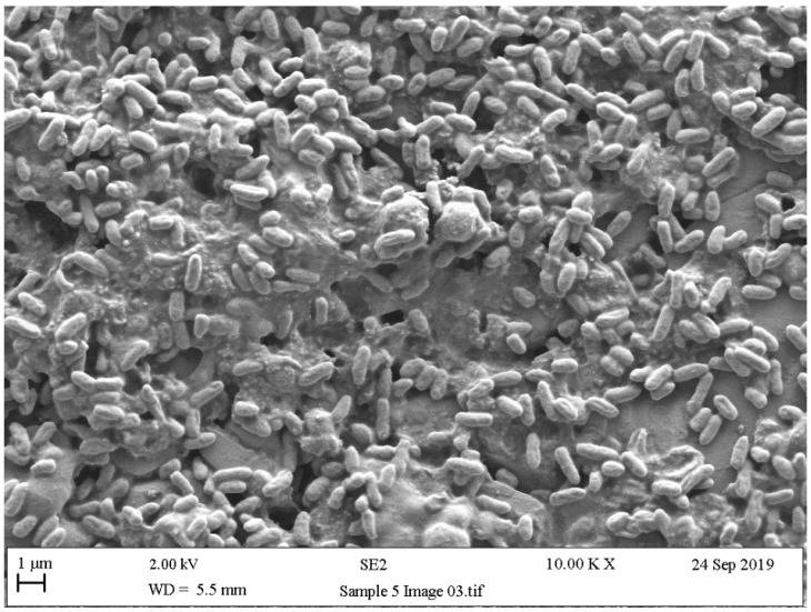 Figure 10