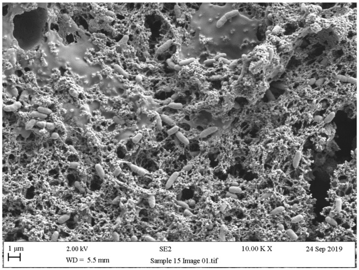 Figure 9