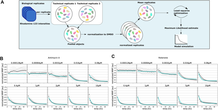 FIGURE 3