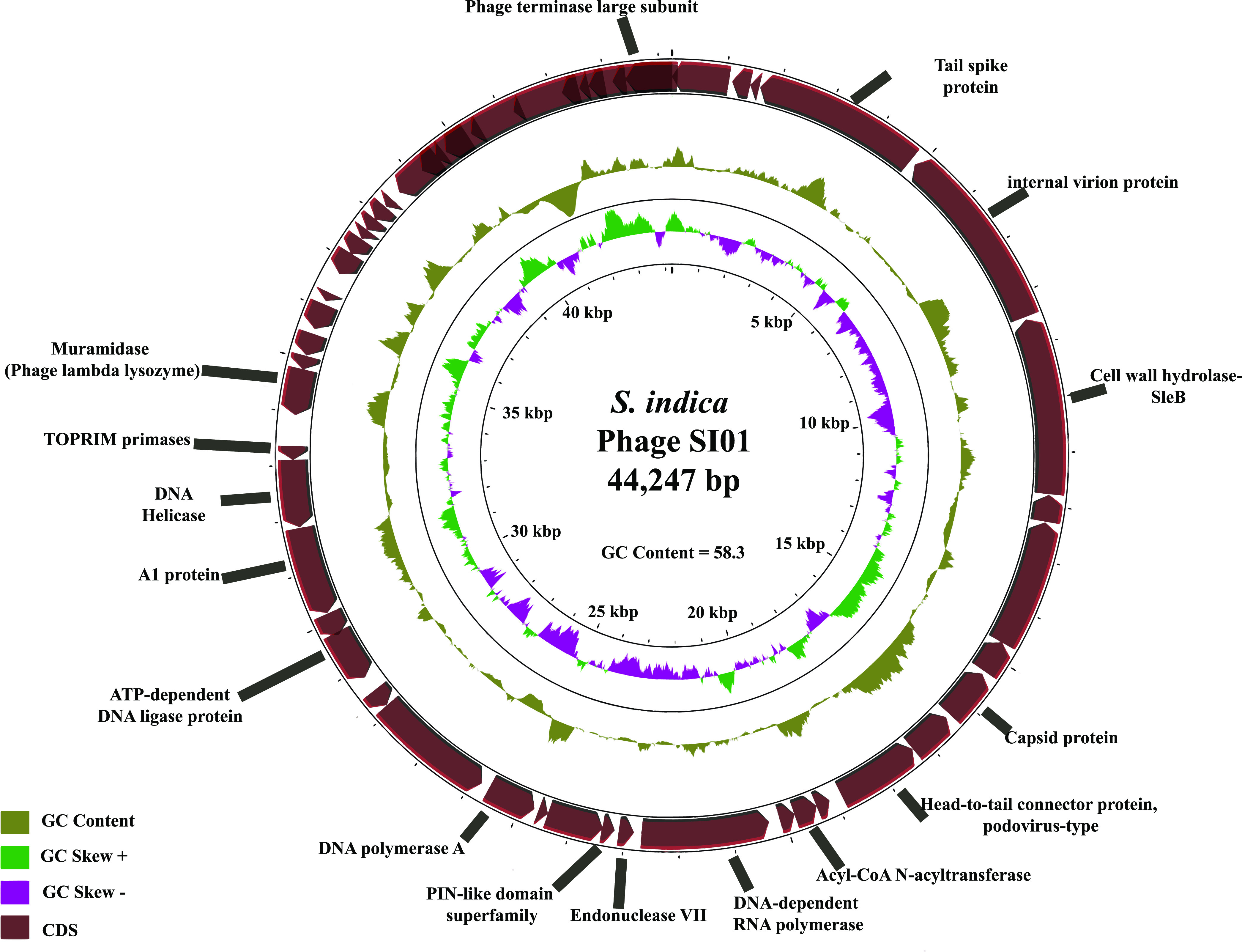 FIG 3