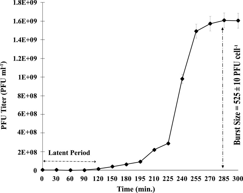 FIG 5