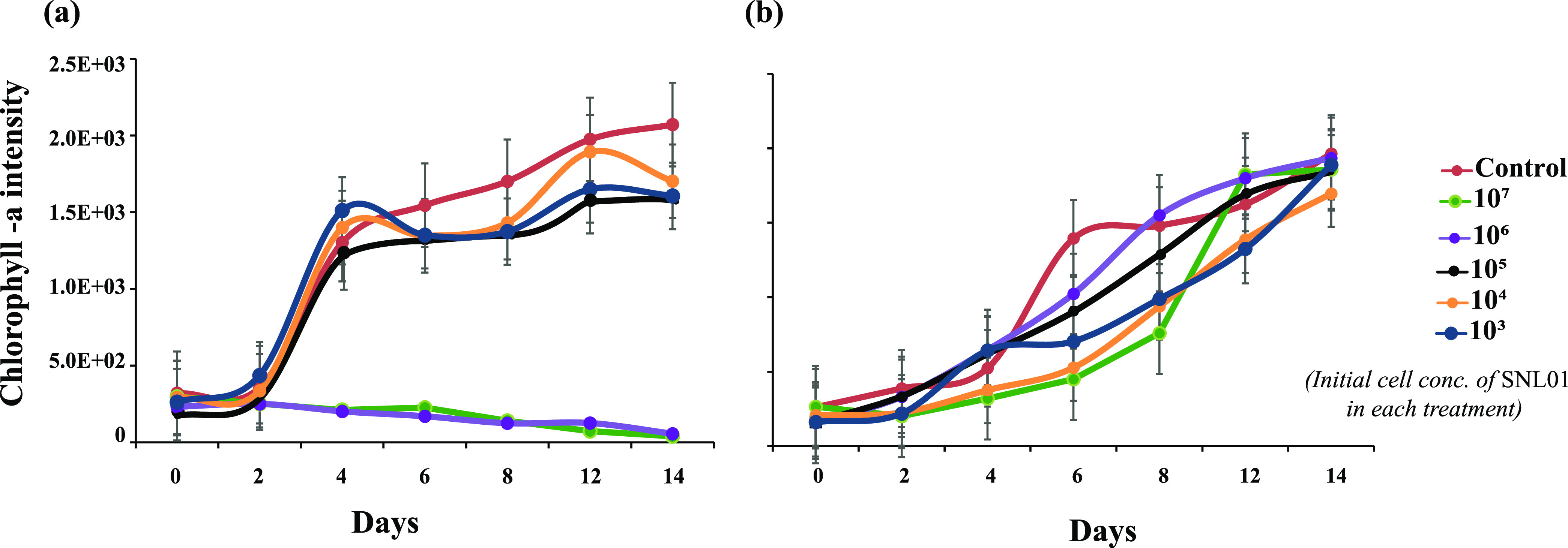 FIG 1