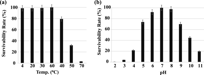 FIG 6