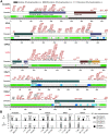 FIGURE 6: