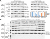 FIGURE 9: