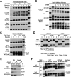 FIGURE 12: