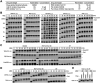 FIGURE 10: