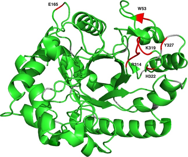 Fig. 2