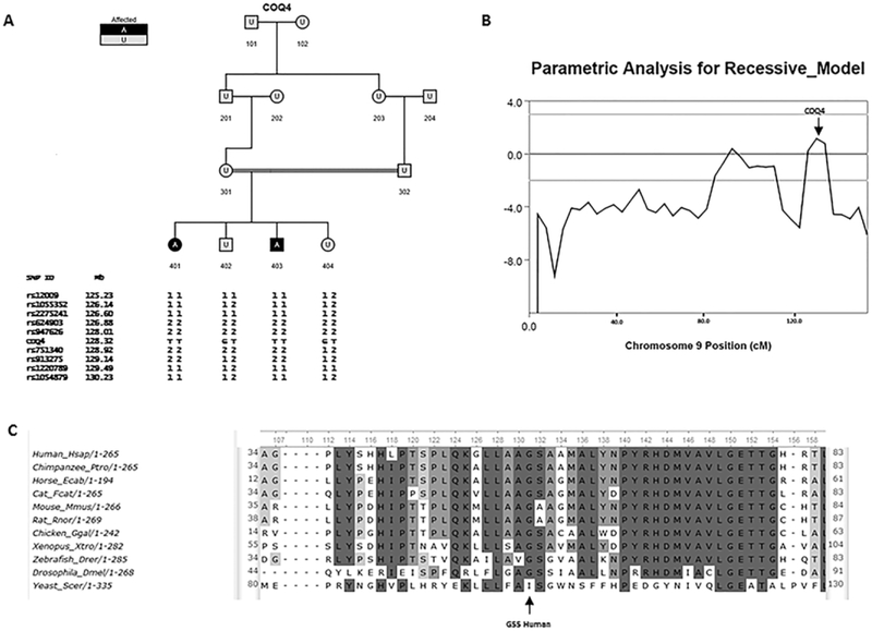 Fig 2.