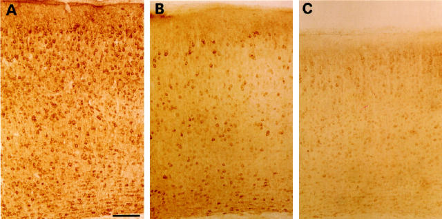 Figure 10.