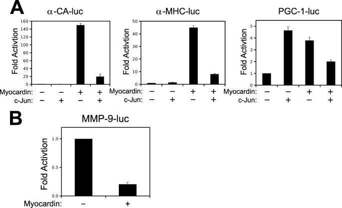 FIGURE 9.