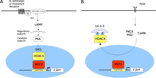 FIGURE 10.