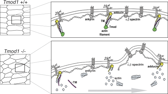 Figure 10.