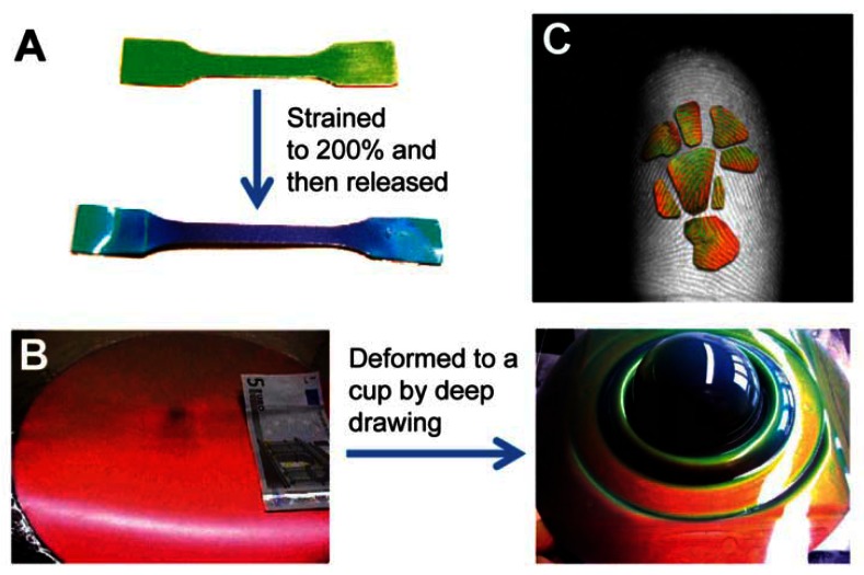 Figure 13.
