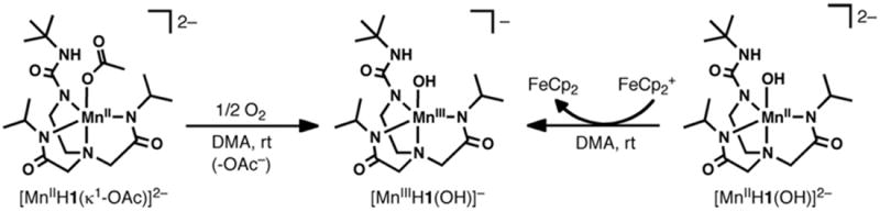 Scheme 1