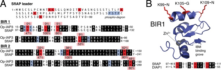 FIG 9