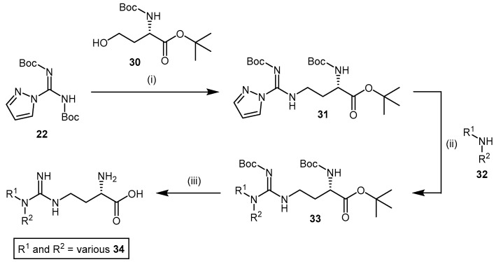 Scheme 8