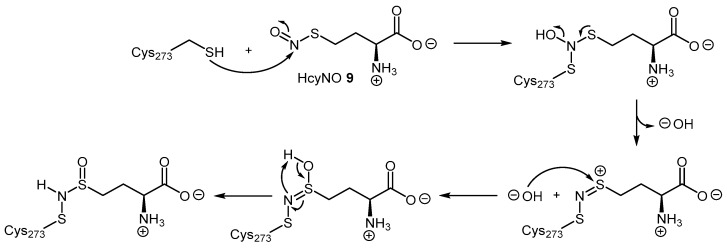 Scheme 3