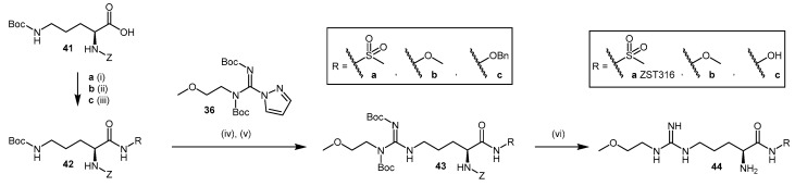 Scheme 10