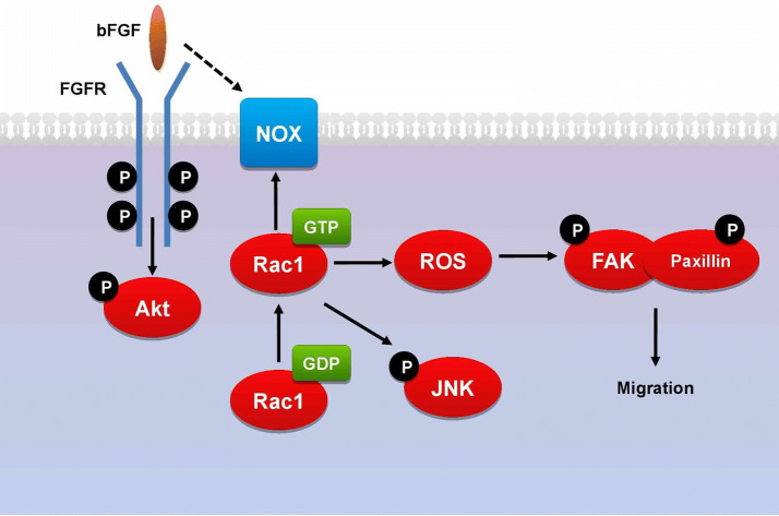 Fig. 2