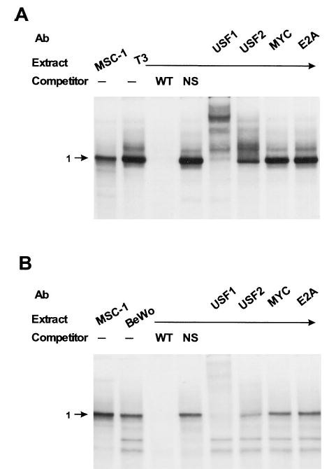 Fig. 11