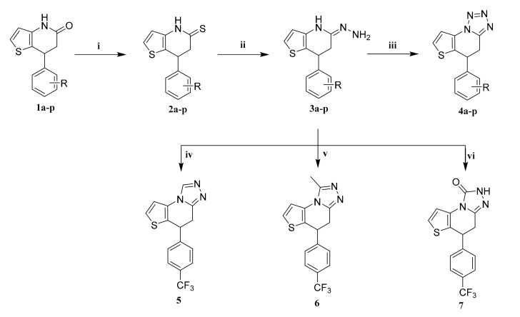 Scheme 1