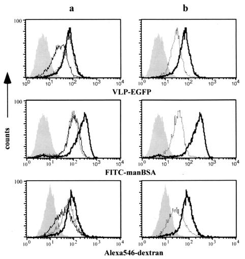 FIG. 3.