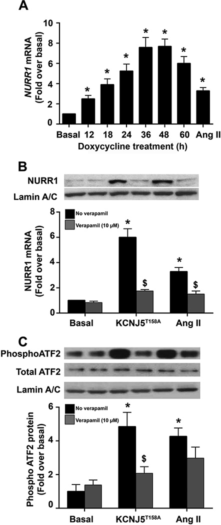 Figure 5