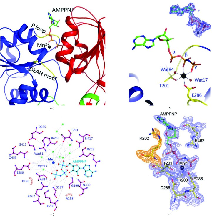 Figure 2