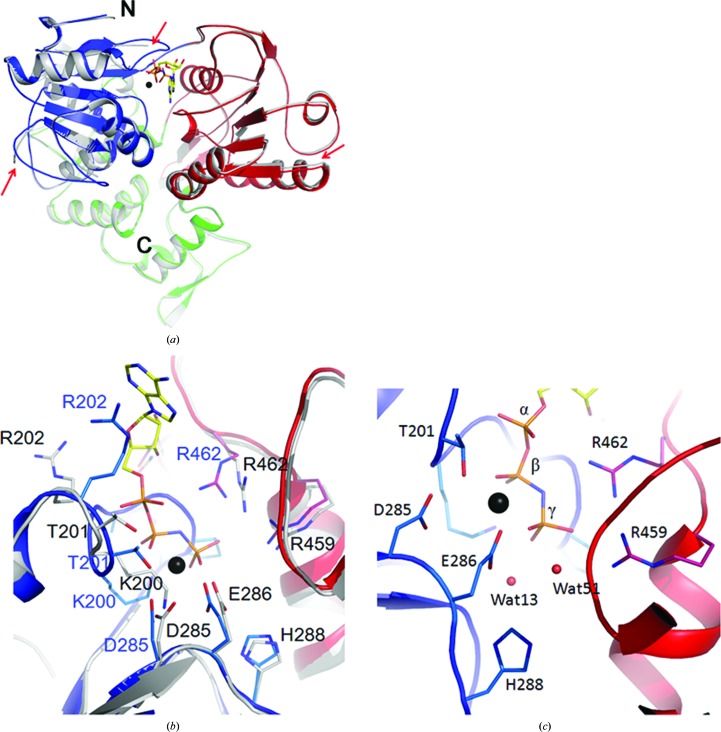 Figure 4