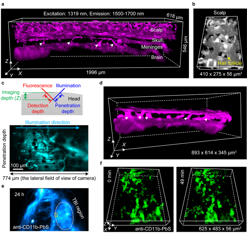 Figure 4 |