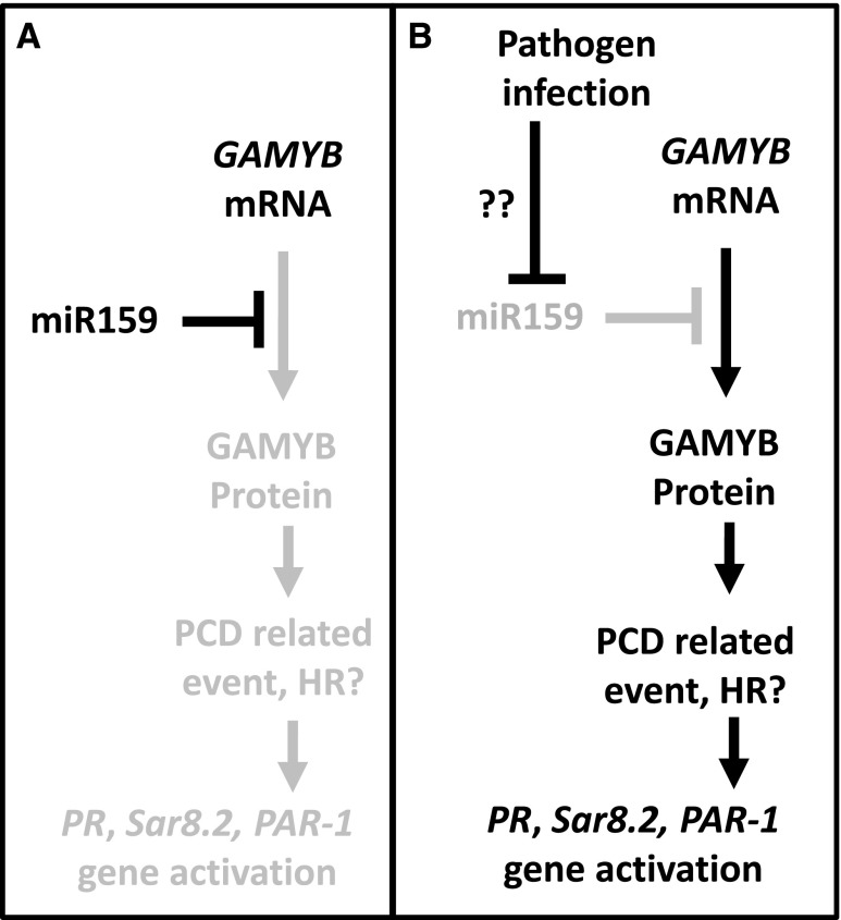 Figure 12.