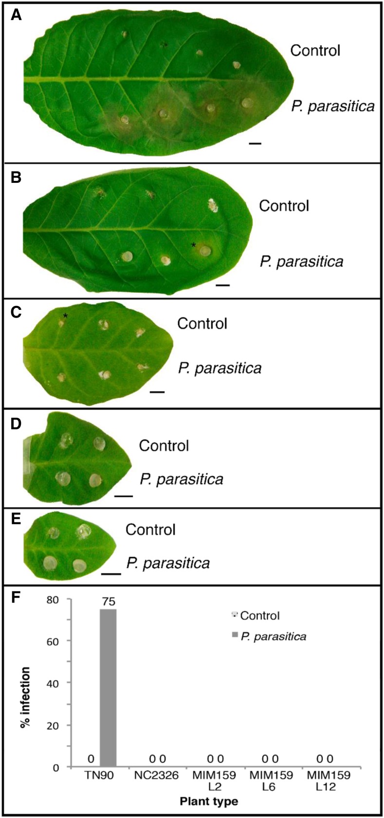 Figure 6.