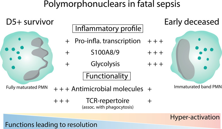 Figure 6