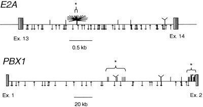 Fig 2.