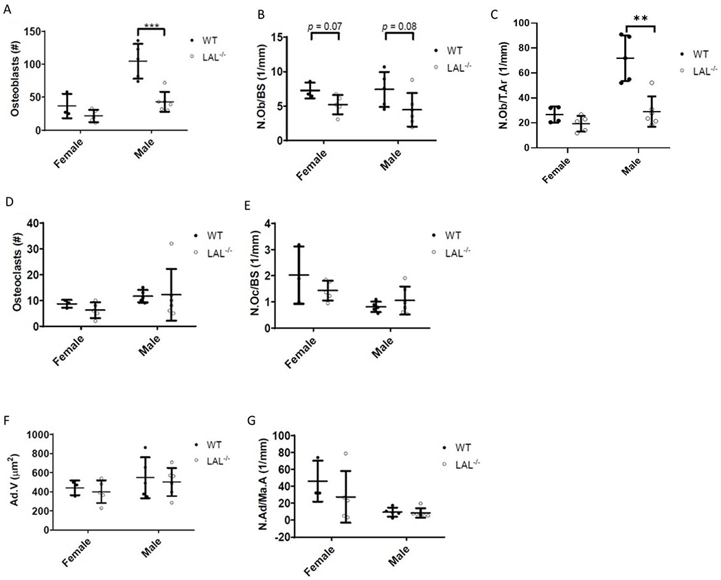 Figure 3: