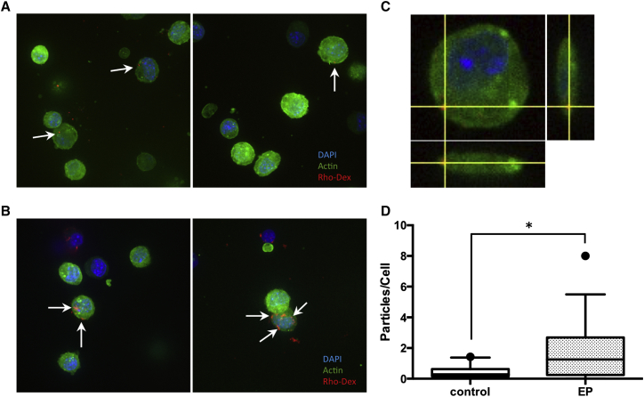 Figure 2