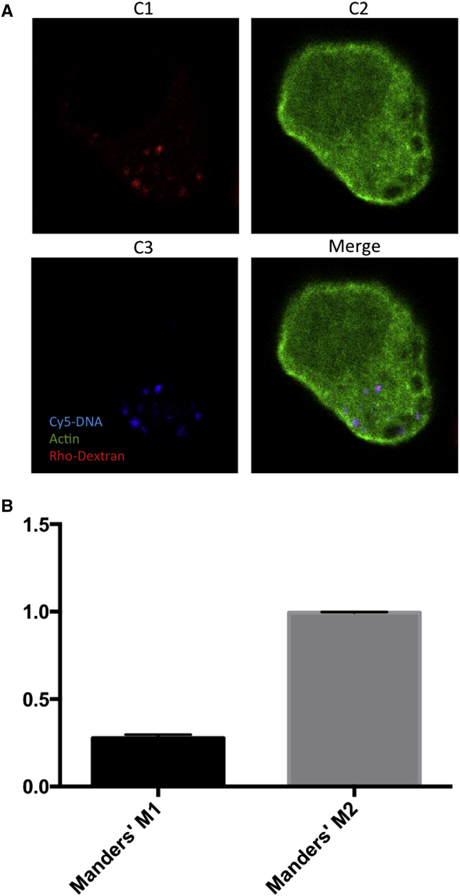 Figure 3