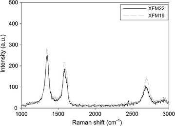 Fig. 1