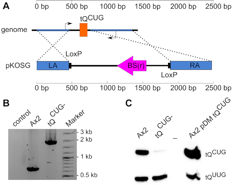 Figure 6.