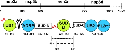 FIG. 10.