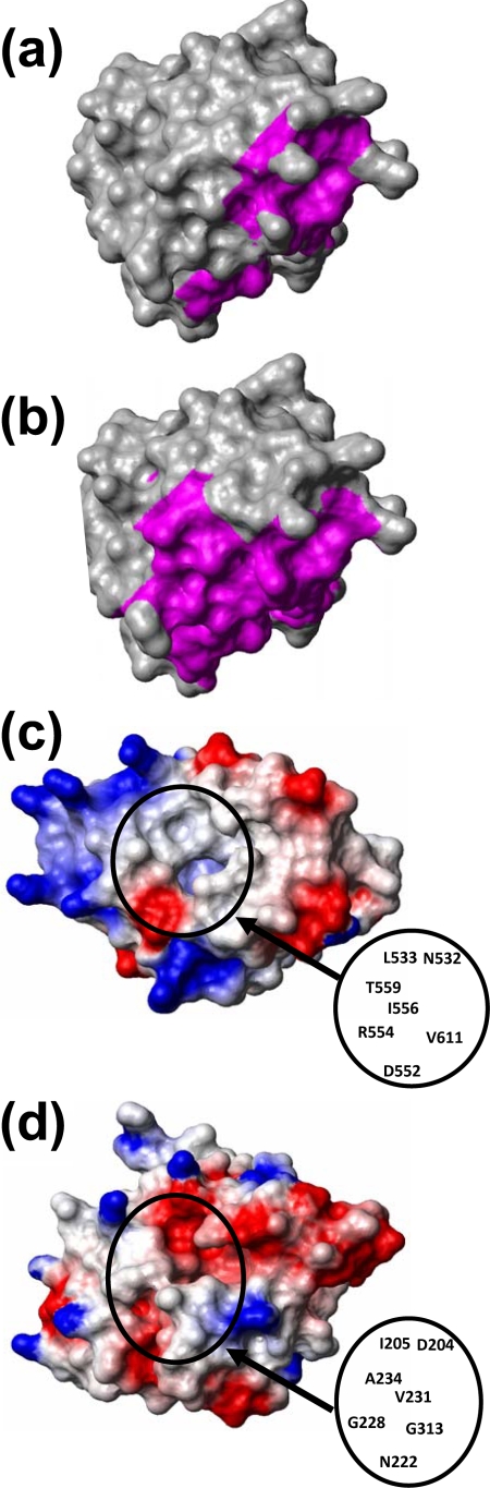 FIG. 5.