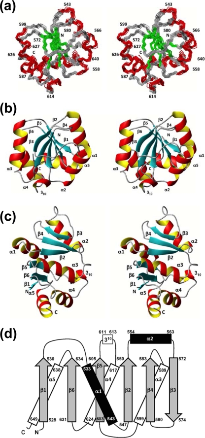 FIG. 2.