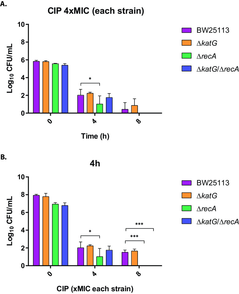 FIG 3