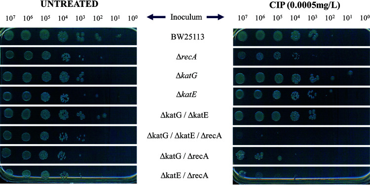 FIG 4